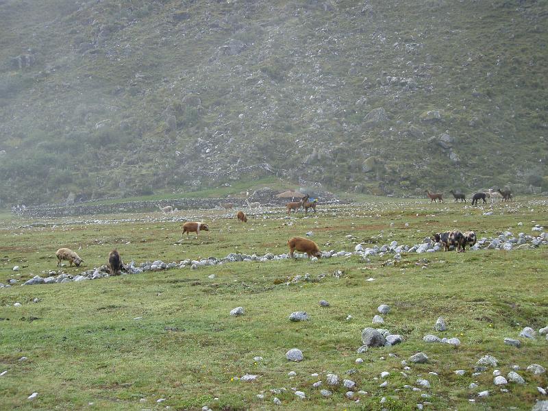 Illampu Trek (52).JPG